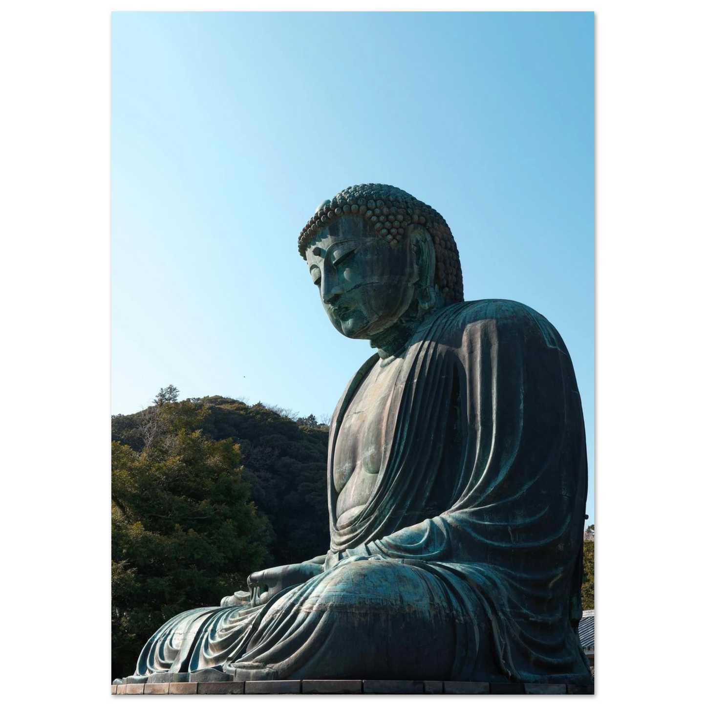 31fa50e0-26df-4a0f-ad40-53b77fc750f2