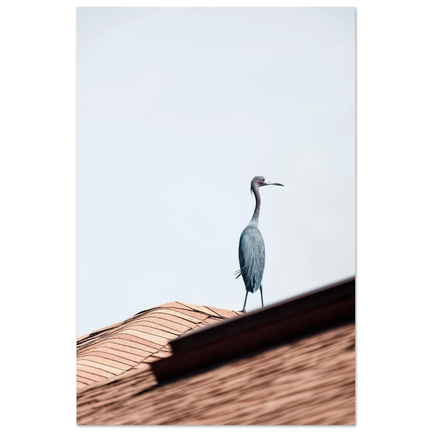 9cfc4906-dbd4-4eee-8df6-3e792ec6a74e