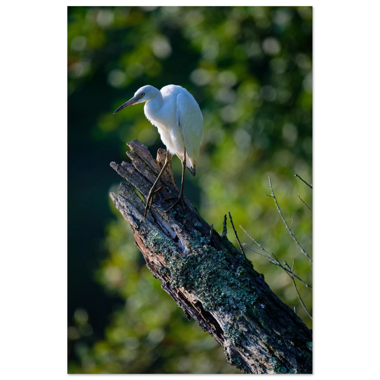 c1bc0206-16e5-45f7-b532-17e3d2539929