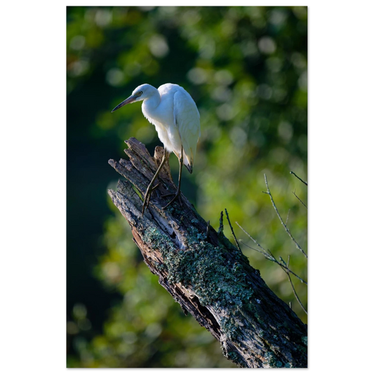 c1bc0206-16e5-45f7-b532-17e3d2539929